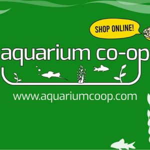 Air Pumps and Equipment for Aquariums | Provides for Fish Tank Air Pumps