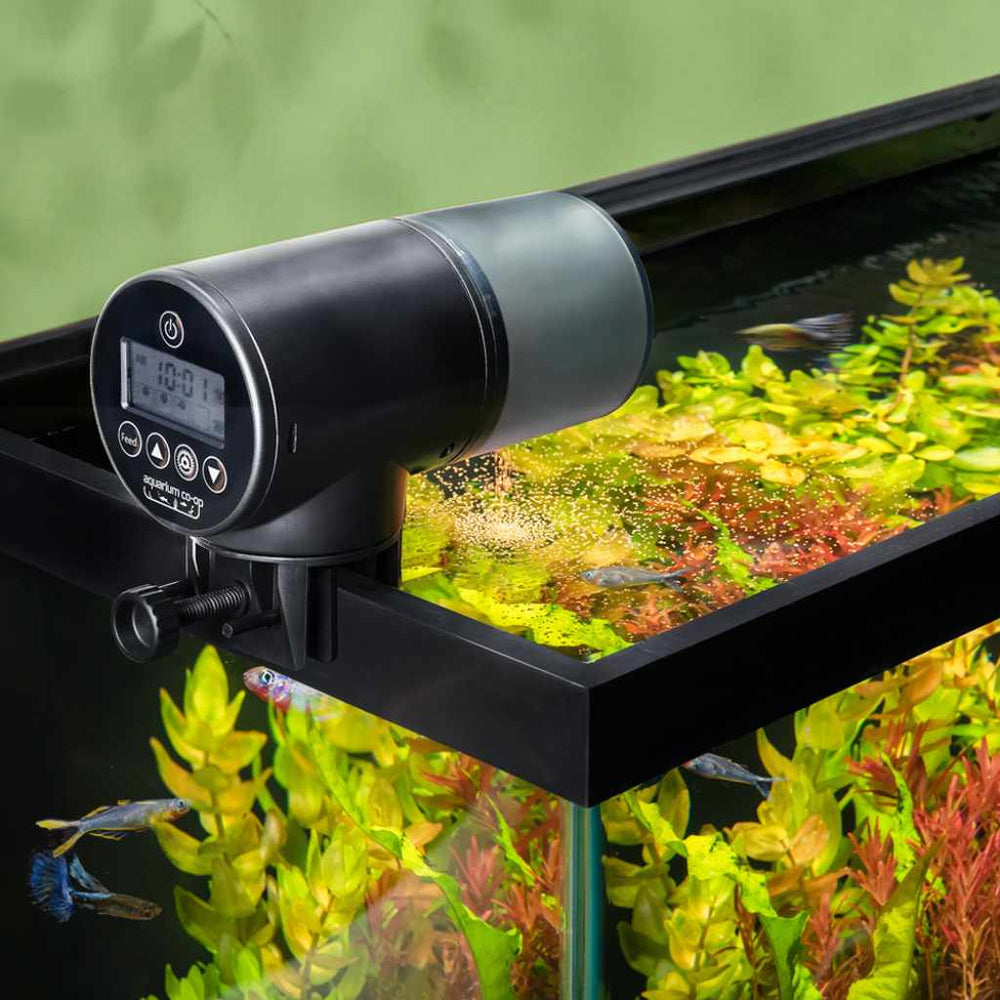 Automated Feeder for Aquariums by Aquarium Co-Op